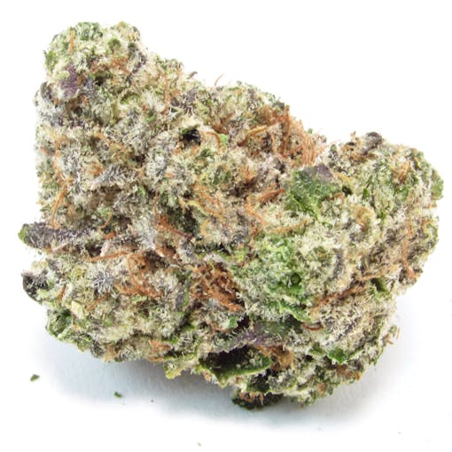 Animal face bred by Flora Terra via TGC SF (David Downs/Leafly)