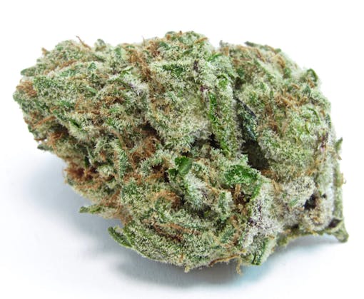 Flo White from Amplified Farms 26.8% THC (David Downs/Leafly)