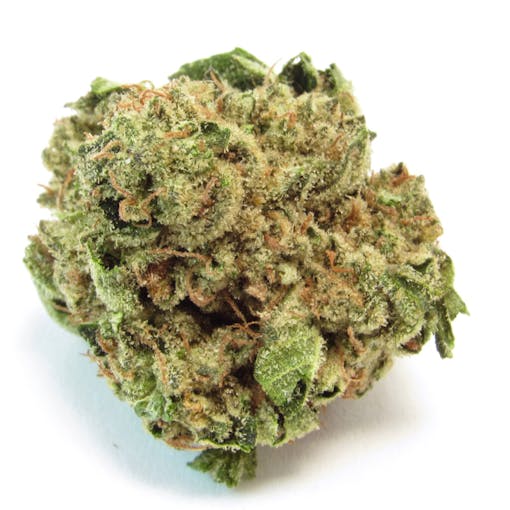 Lemonnade Medellin (David Downs/Leafly)3