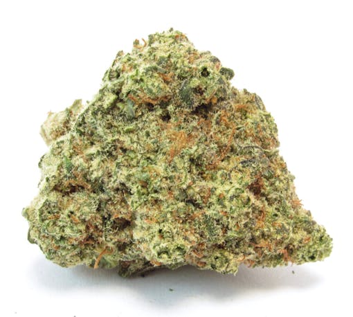 Menthol MAC grown by Flora Terra via TGCSF (david downs/leafly)