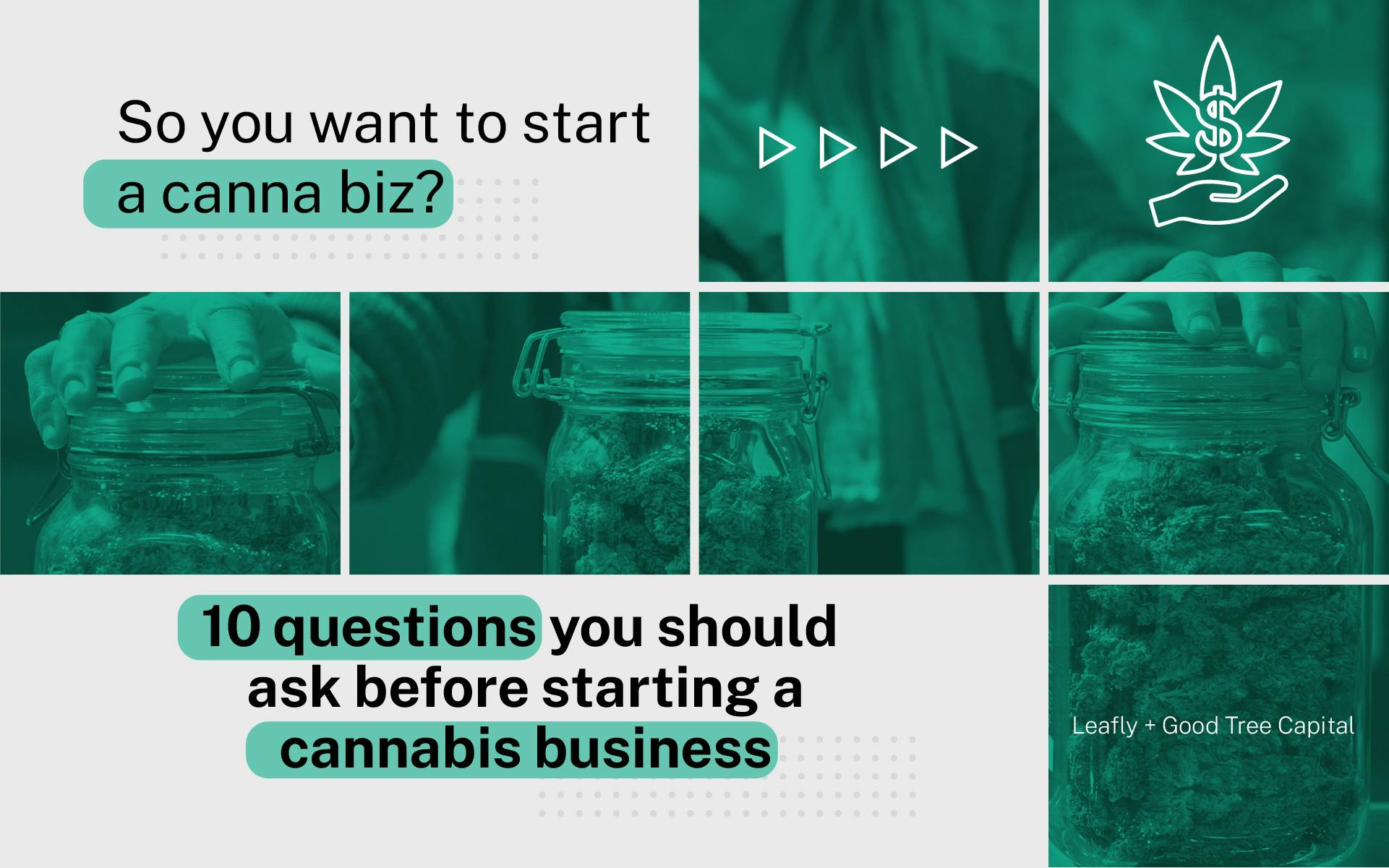10 questions to ask before starting a cannabis business image