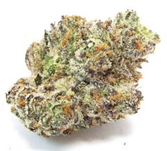 Love Lemon Tree? Go even blingier with Lemonatti. (David Downs/Leafly)