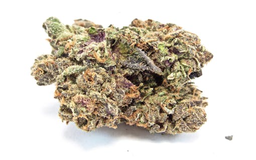 Orange Push Pop, grown by Minntz (David Downs/Leafly)