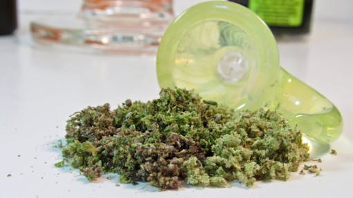 Smoke this salad ASAP, or the air will eat your terpenes. (David Downs/Leafly)