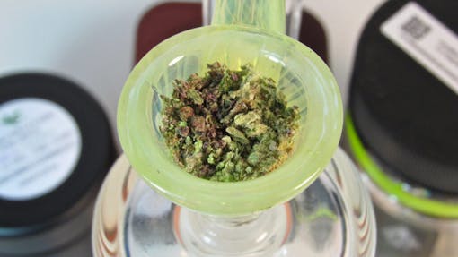 A salad bowl ready to go. (David Downs/Leafly)