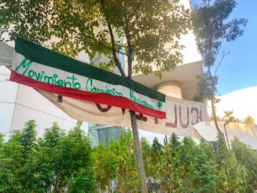 A sign that reads "Movimiento Cannábico Mexicano" outside the Senate building in Mexico City
