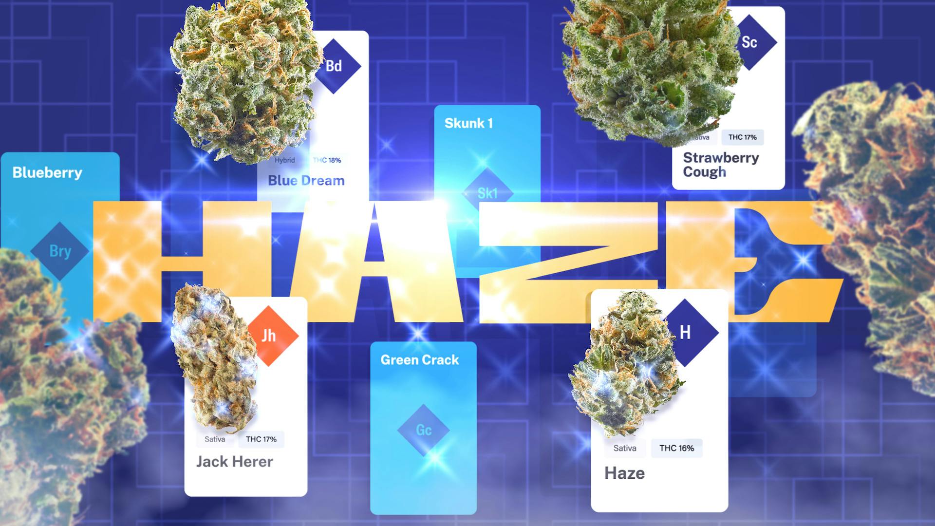 Beyond Blue Dream: A Haze family genealogy image
