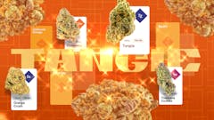 Tangie, Sour Tangie, Clementine, Mimosa, Squirt, and on and on.