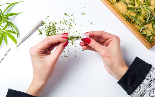 Girl wrapping marijuana joint top view pov