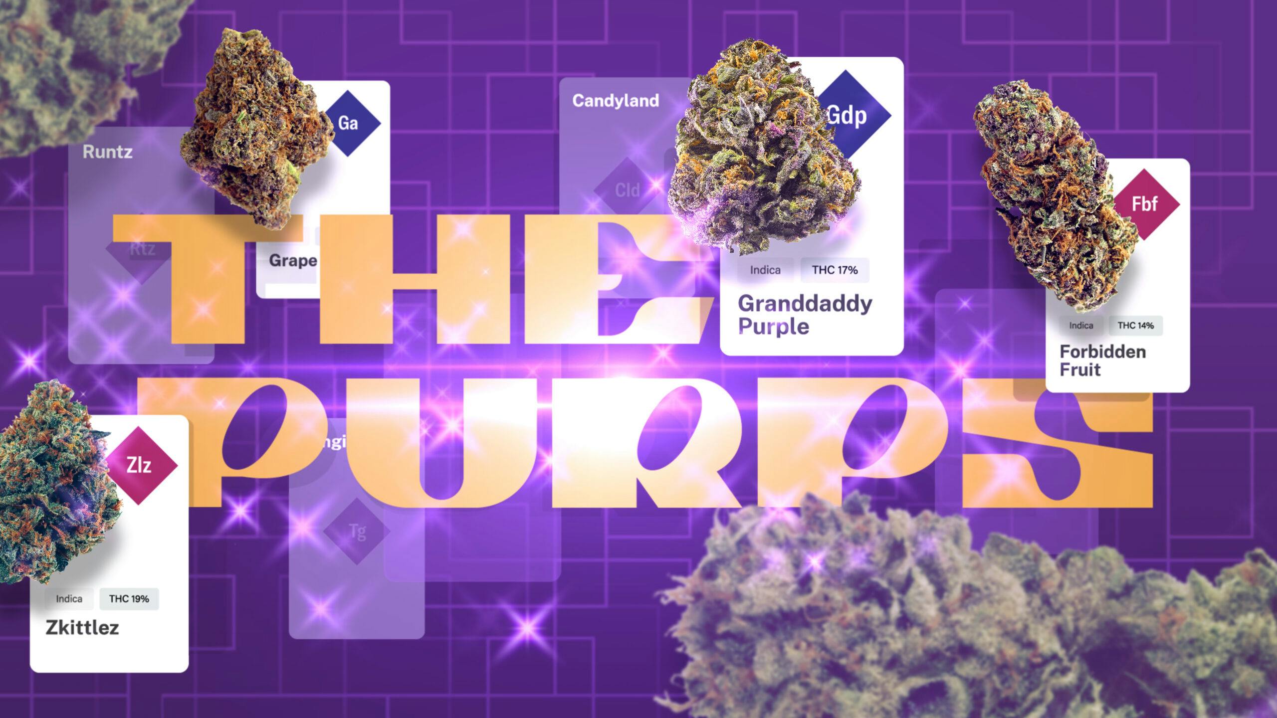 Pleased as Purple Punch: A ‘Purps’ family genealogy image