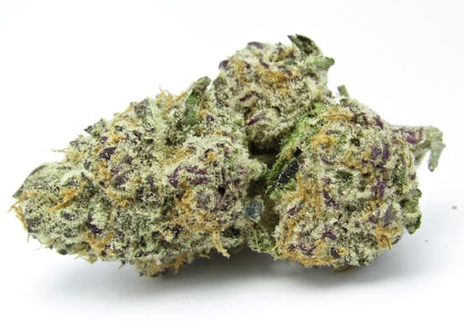 Purple Punch. (David Downs)