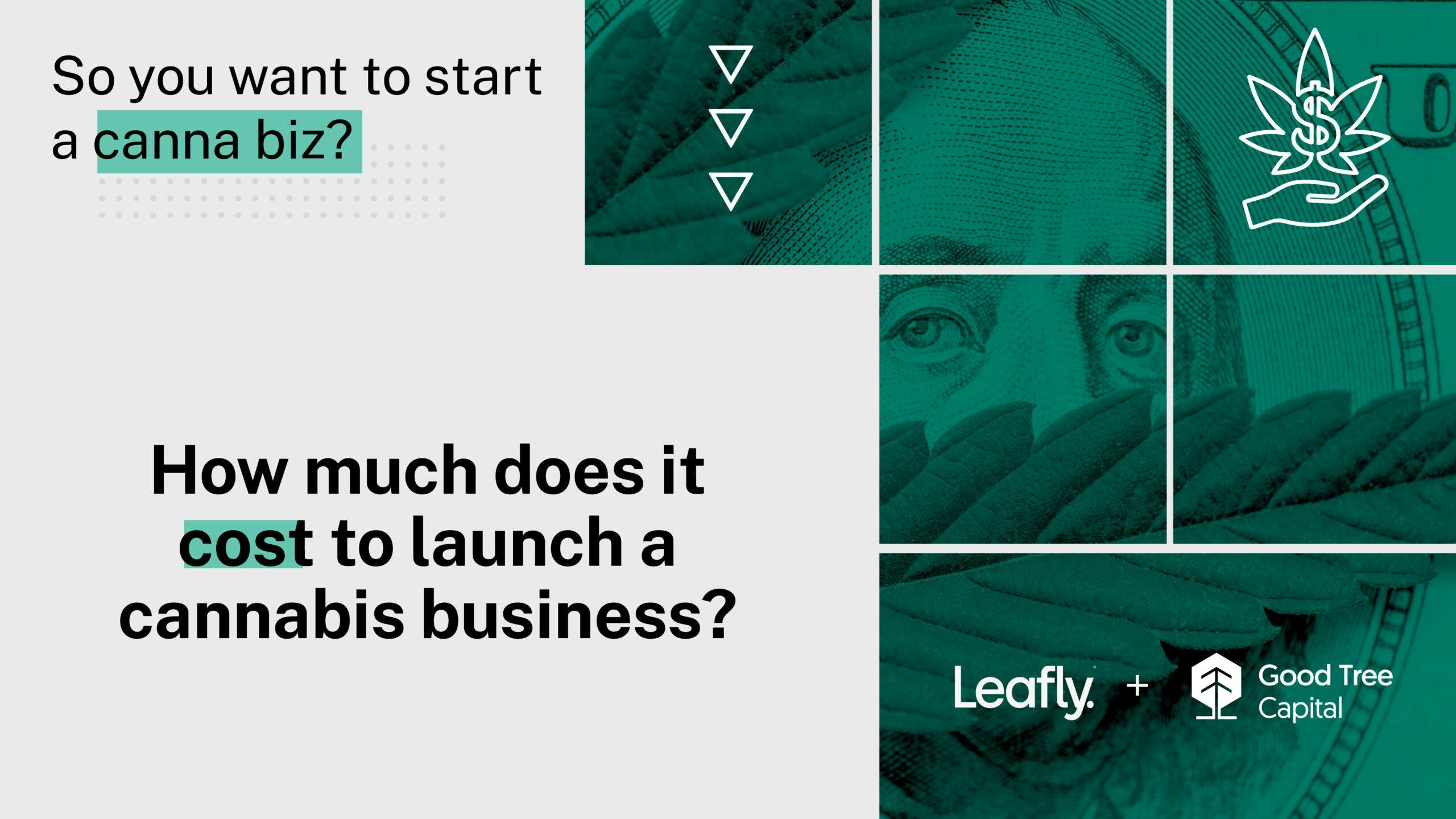 How much does it cost to open a cannabis business? image