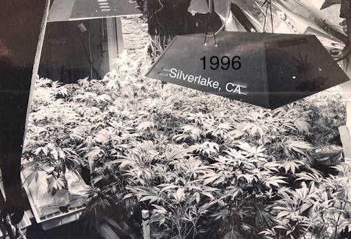 History made: A small, crowded, 1996 Silverlake, CA OG Kush grow by Josh D. (Courtesy Josh D)