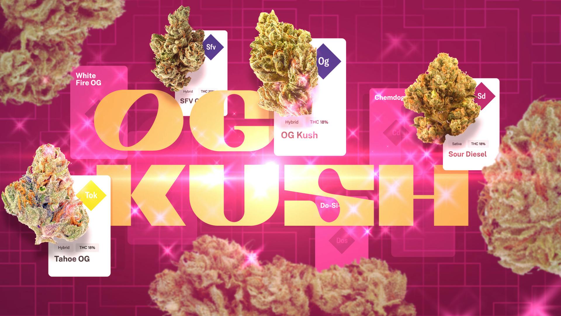 An Epoch of OG: The OG Kush family genealogy image