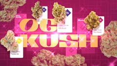 OG Kush, Kosher Kush, SFV OG, and more make this family an undisputed powerhouse. (Leafly)