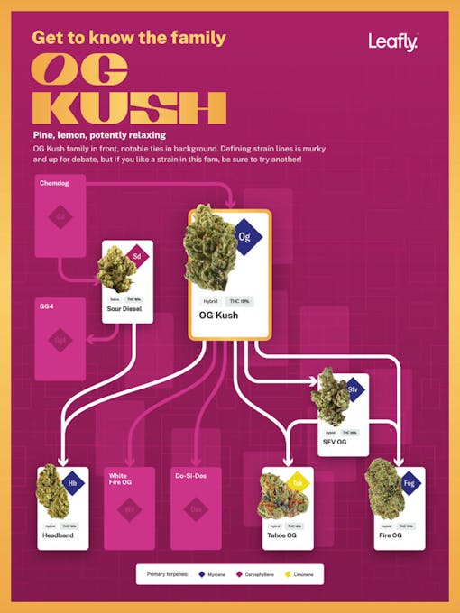 OG Kush’s parentage is speculative, but if you like OG, try everything on this poster. (Leafly)