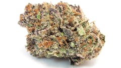 Connected Gelonade flower 2021. (David Downs/Leafly)