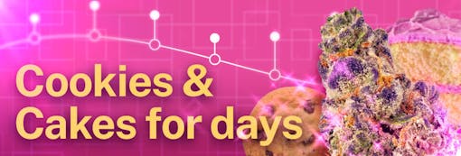 cookies strains timeline art