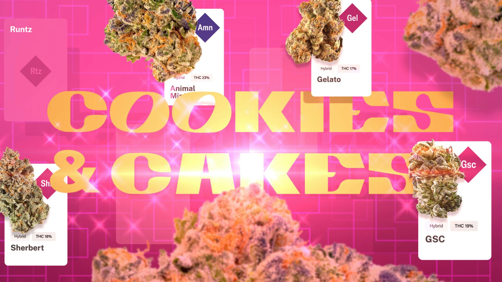 Just desserts: The Cookies and Cakes family genealogy image