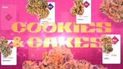 GSC, Sunset Sherbert, Gelato, and Runtz sit on the throne of modern cannabis. (Leafly)