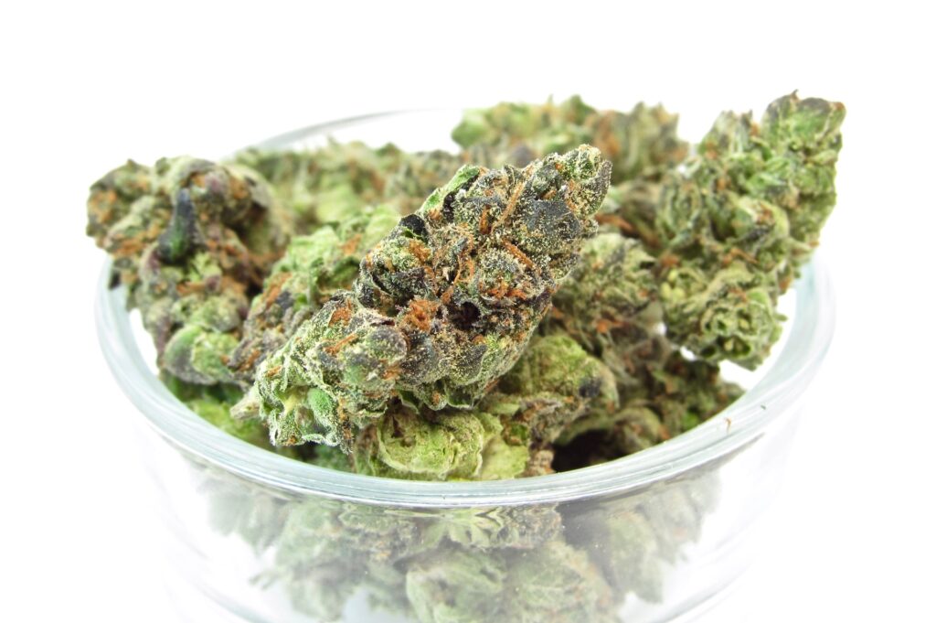 White Runtz, indoors, 2020. (David Downs/Leafly)