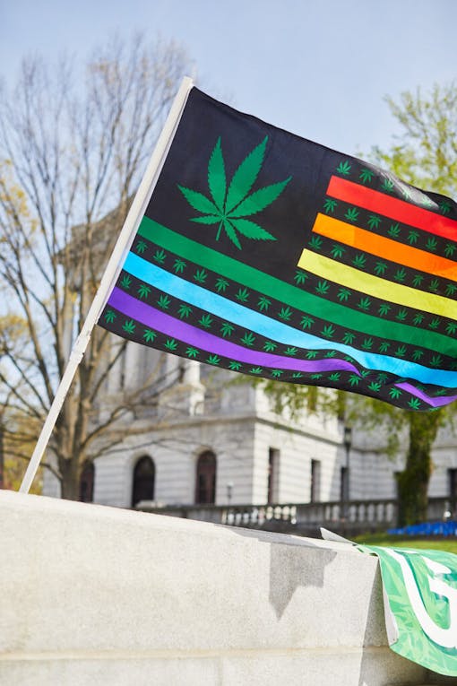 cannabis-rainbow-flag
