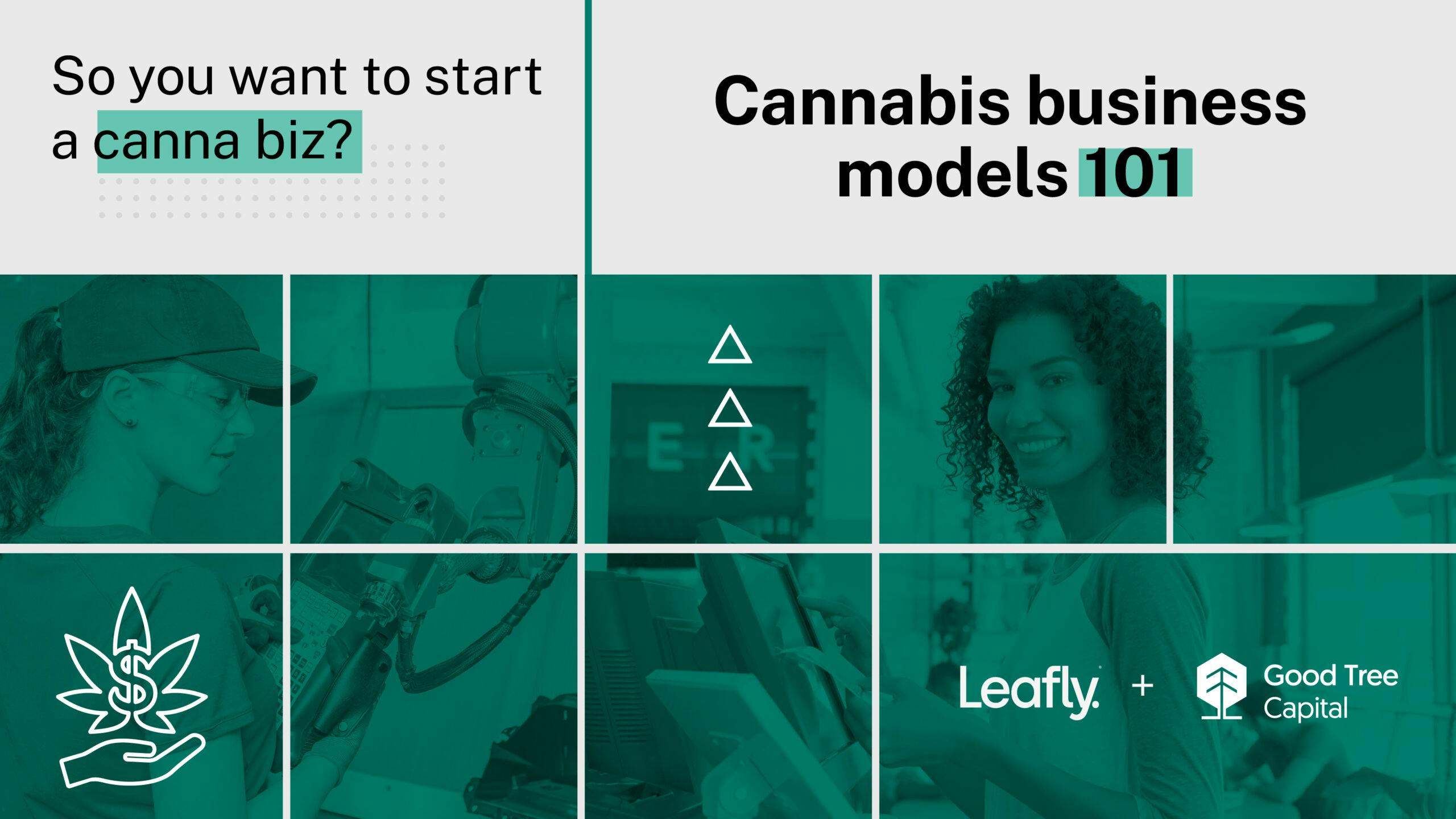 Cannabis business models 101 image