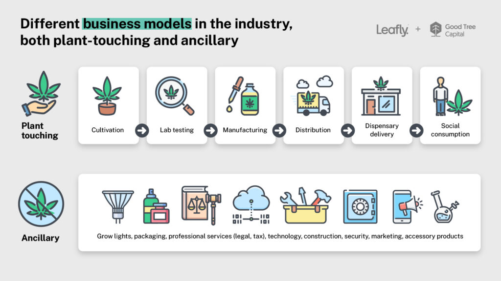 Cannabis Business Models 101: Types Of Cannabis Businesses | Leafly