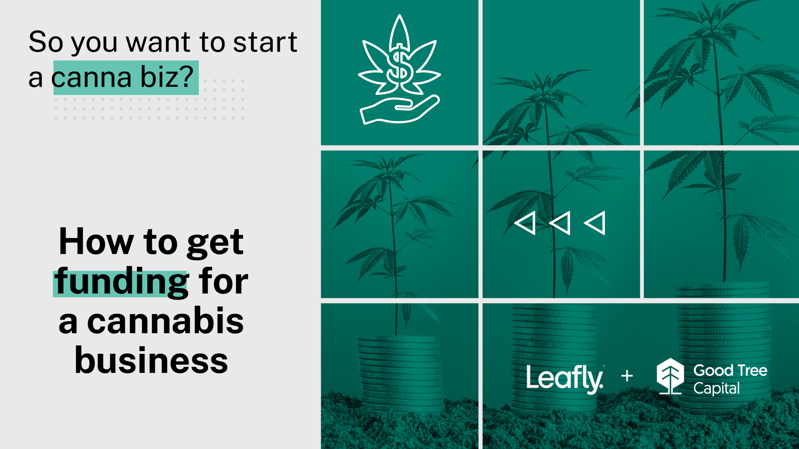 photo of How to get funding for a cannabis business image