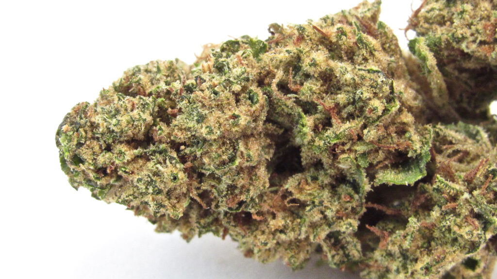 A photo of Lemon Cane Yolo (David Downs / Leafly)