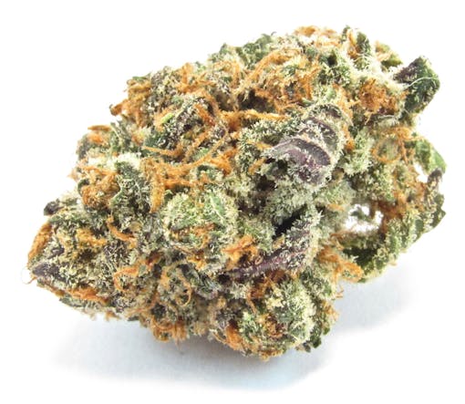 A photo of Mimosa (David Downs/Leafly)