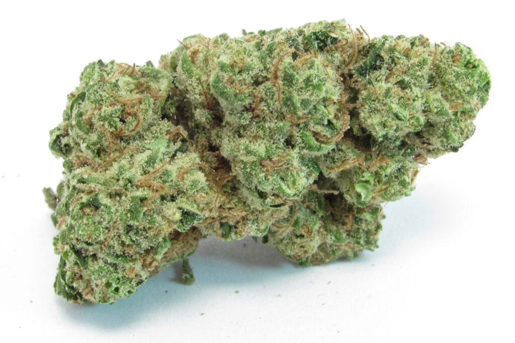 A photo of Orangeade bred by Rimrock Farms via the Green Cross (David Downs / Leafly)