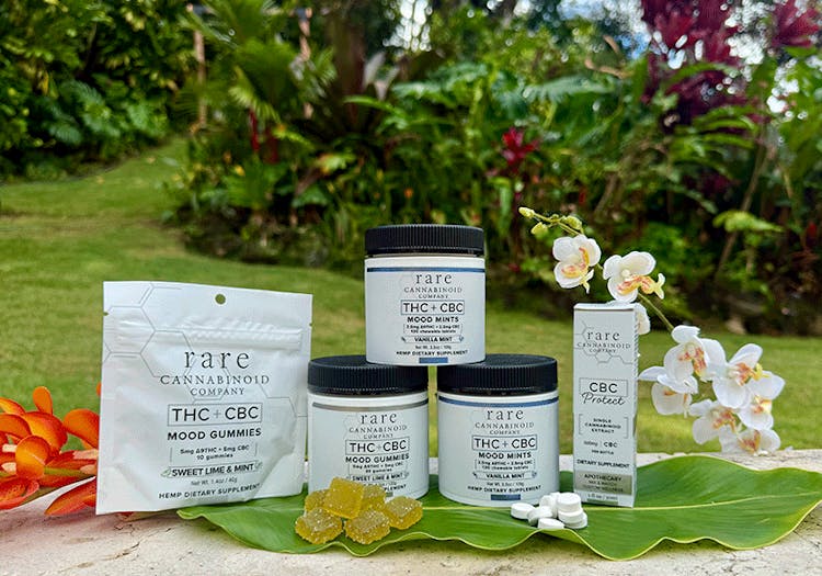 Nature’s antidepressant? Rare cannabinoid CBC boosts the brain’s ‘bliss’ molecule image