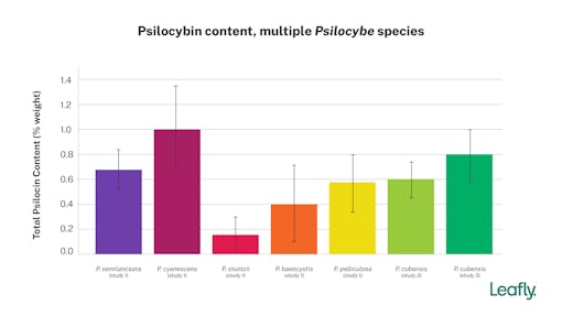 psilocybin content, different mushroom species