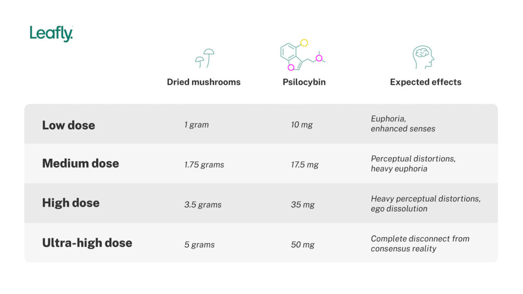 How To Dose Psychedelic Mushrooms | Leafly