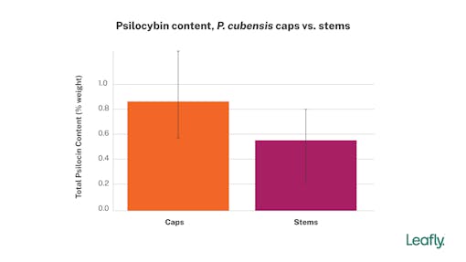 psilocybin caps vs stems