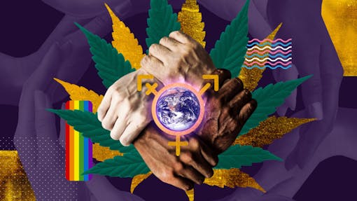 Multi-ethnic hands in front of a purple background and inclusive flags