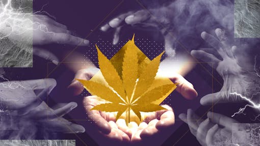 Image symbolizing access to weed