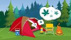 camping with cannabis illustration