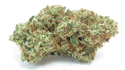 A macro photo of Maui Diesel from Northern Emeralds combines tropical fruit and gasoline. Vroom. (David Downs/Leafly)