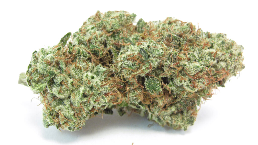 A macro photo of Maui Diesel from Northern Emeralds combines tropical fruits and gasoline. Vroom. (David Downs / Leafly)