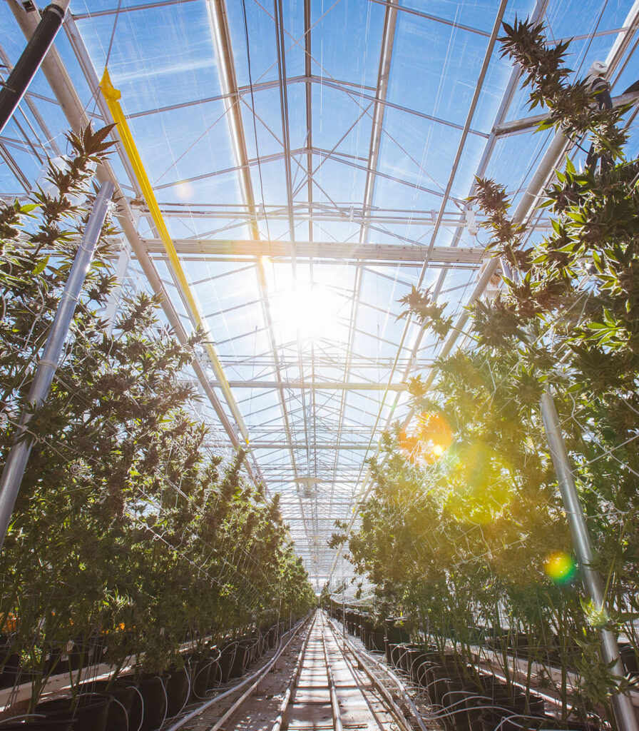 (Courtesy Copperstate Farms)