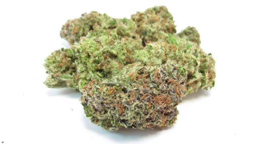 A photo of connected gelonade - lemon tree and gelato. (David Downs/Leafly)