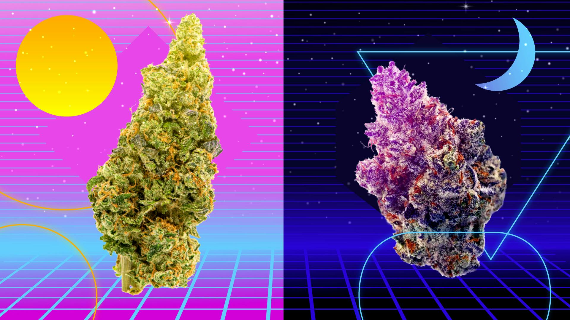 Best cannabis strains of summer 2021 image