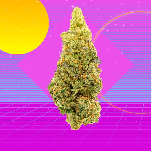 Nug with sunshine