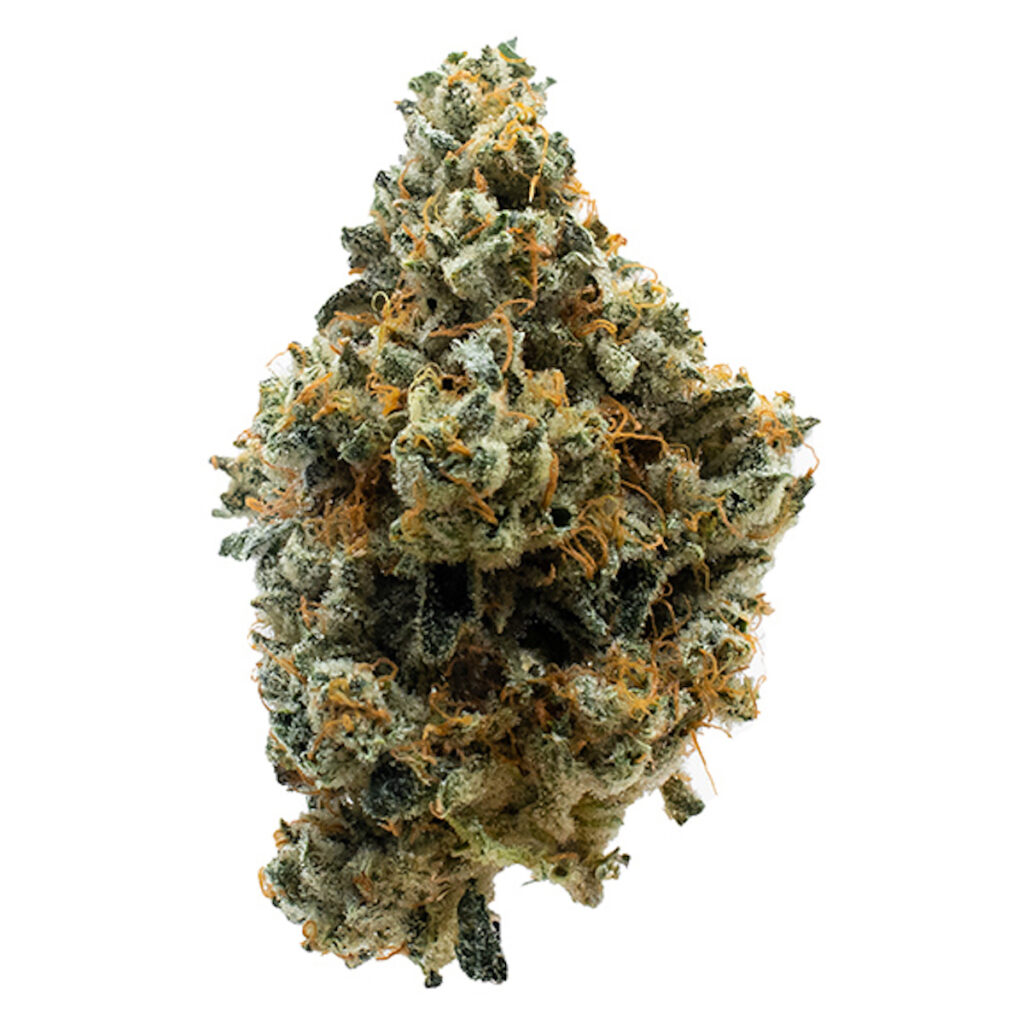 An image of a frosty, multicolored lump of lemony, cozy champion - Le Mans (Courtesy Freddy's Fuego)