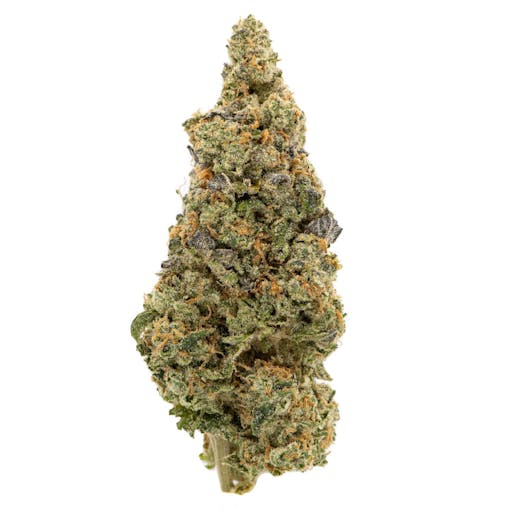 A nug of Insane Stuffed French Toast against white—long, thin, medium density, green-purple indica hybrid looking gas with a sweet, maple syrup and cinnamon note. (Courtesy Insane)