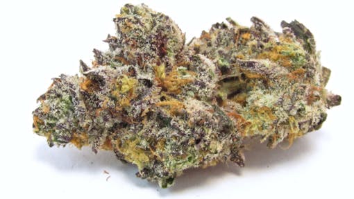 A picture of a nug OG Kush Breath cross Larry’s Breath against white—dense, purple, small, orange-haired, frosty, spikey.. (David Downs/Leafly)