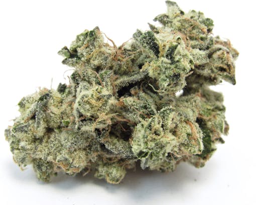 A picture of a most Wanted strain—Chappo’s Churro from Northern Emeralds is frosty, green and purple, and less dense than expected. (David Downs/Leafly)