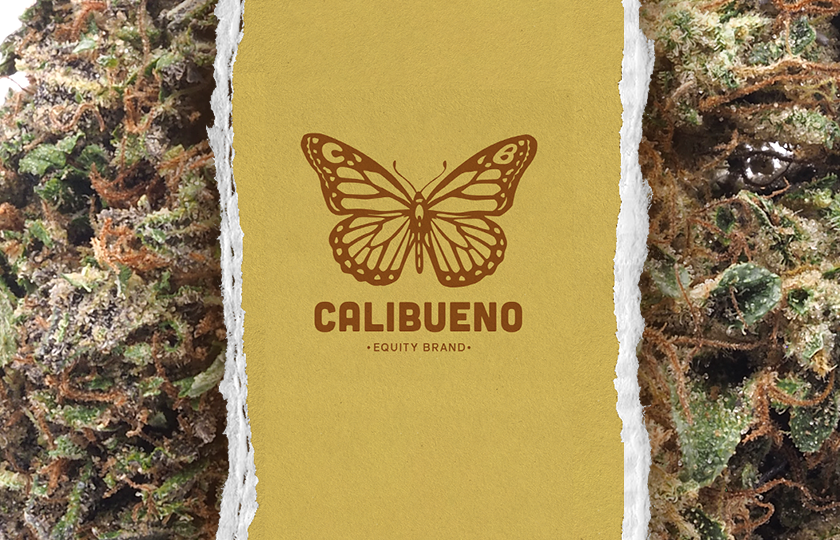 Calibueno butterfly logo in front of weed background